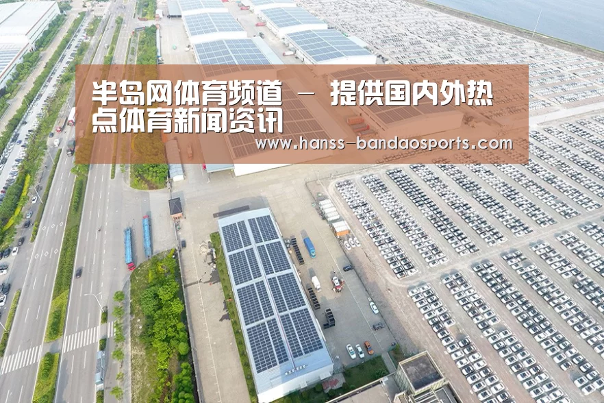 案例展示一