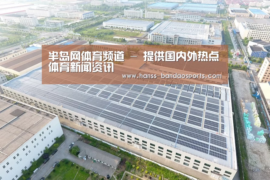 案例展示三