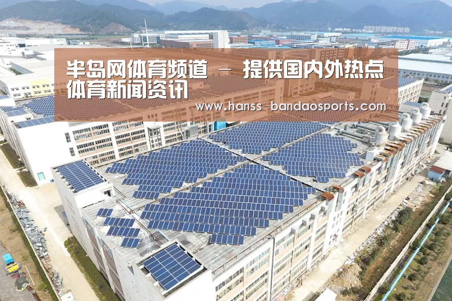 案例展示四