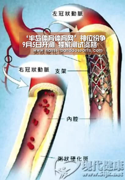 ‘半岛体育体育网’神位纷争9月5日开测 独家测试资格发放(图1) 半岛体育体育娱乐