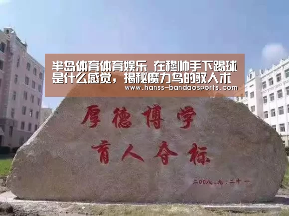 半岛体育体育娱乐_在穆帅手下踢球是什么感觉,揭秘魔力鸟的驭人术(图2) 半岛体育体育网
