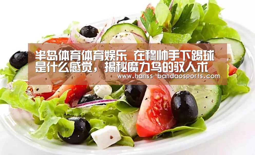 半岛体育体育娱乐_在穆帅手下踢球是什么感觉,揭秘魔力鸟的驭人术(图4) 半岛体育体育网