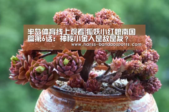 半岛体育体育娱乐
