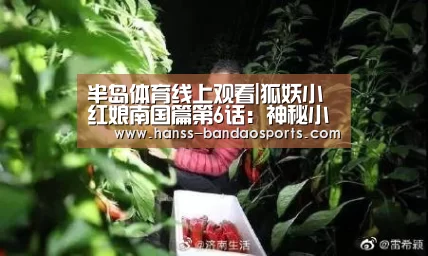 半岛体育体育娱乐